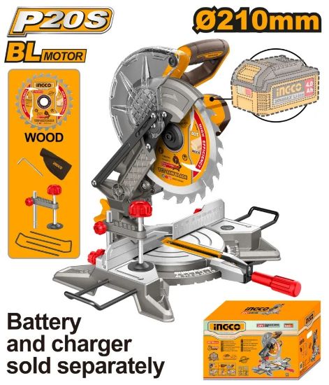 Picture of CMSLI2021