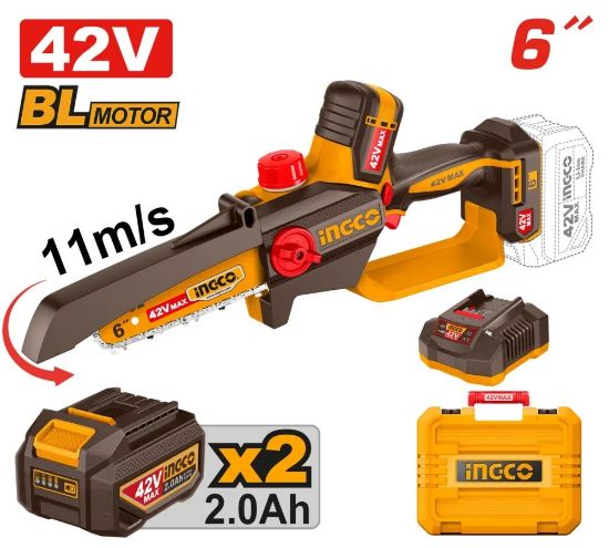 Picture of CGSLI42681